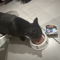 photo de livraison pour Au Rendez-vous des Animaux