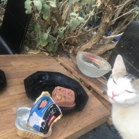 photo de livraison pour Félin Pour L’Hôte