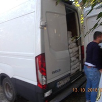 photo de livraison pour Pro Animals Finland ry