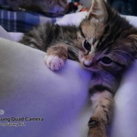 photo de livraison pour OCCP