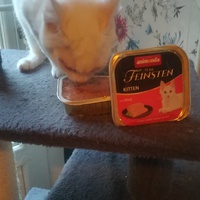 photo de livraison pour L'Arche des Amis à pattes