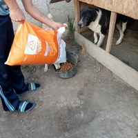 photo de livraison pour Daniela Elena Sandoiu