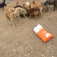 photo de livraison pour Anca Timpeanu