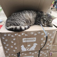 photo de livraison pour Chats Libres de Béziers