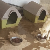 photo de livraison pour SOS Animaux Tunisie