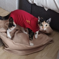 photo de livraison pour Choupi Matou Dit