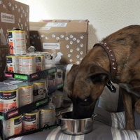 photo de livraison pour Felis Canis Association