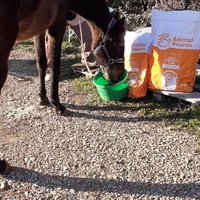 photo de livraison pour Association hippique du Caroux