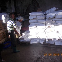 photo de livraison pour Pro Animals Finland ry