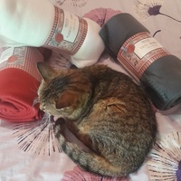photo de livraison pour Les Chats'nonymes