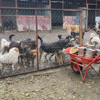 photo de livraison pour Svetlana Bjelogrlic