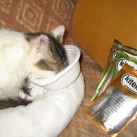 photo de livraison pour Jardin des Chats