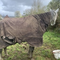 photo de livraison pour Espoir au Galop