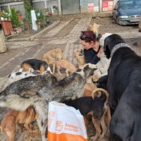 photo de livraison pour Mariuta