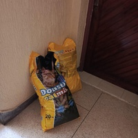 photo de livraison pour Hajar Aourz