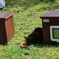 photo de livraison pour SOS Chats Libres Haut-Béarn