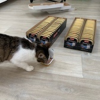 photo de livraison pour Les Chatoyants