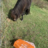 photo de livraison pour Espoir au Galop