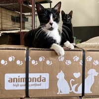 photo de livraison pour Association C.A.T.S. Chat Animal Terrien Solidarité