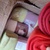 photo animal