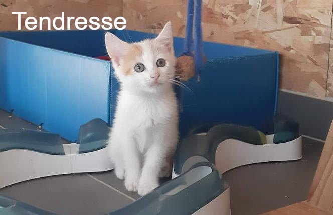 photo association