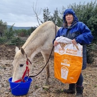 photo de livraison pour La Retraite des Chevaux des Causses