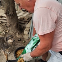 photo de livraison pour Udruženje za zaštitu životinja "Pongo"