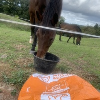photo de livraison pour Espoir au Galop