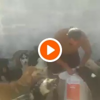 photo de livraison pour Association Mira Protection des Animaux et de l'Environnement