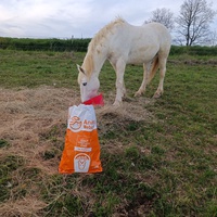 photo de livraison pour Les Crinières de Salherm