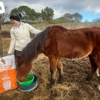 photo de livraison pour La Retraite des Chevaux des Causses