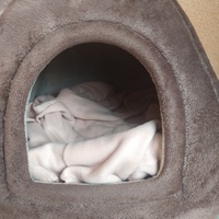 photo de livraison pour ANIMAL ATTITUDE