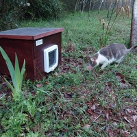 photo de livraison pour Clan du chat libre