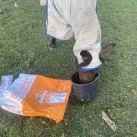 photo de livraison pour Espoir au Galop