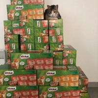 photo de livraison pour APATE