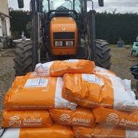 photo de livraison pour Hearthland Royal Horse