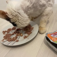 photo de livraison pour Les Pattes de l'Espoir 