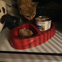 photo de livraison pour Cosette