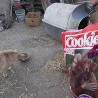 photo de livraison pour Refuge de Lénuta