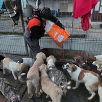 photo de livraison pour Associtia Axi Hope Romania