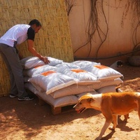 photo de livraison pour Help Adopt Moroccan Animals