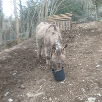 photo de livraison pour Ulyan