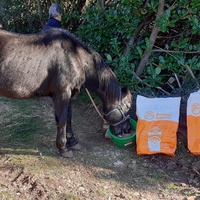 photo de livraison pour Association hippique du Caroux