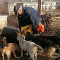 photo de livraison pour Association for the protection of animals "BAK"