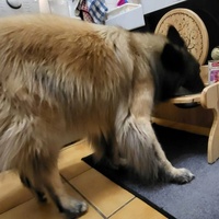 photo de livraison pour AVRAH