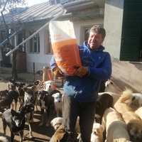 photo de livraison pour Europe4strays