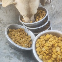 photo de livraison pour Svetlana Bjelogrlic