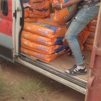 photo de livraison pour 4 Pattes Mogador