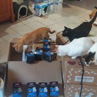 photo de livraison pour Une Maison pour la Vie