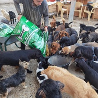 photo de livraison pour ПРИХВАТИЛИШТЕ ДРАЖЕВАЦ